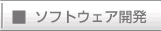 ソフトウェア開発